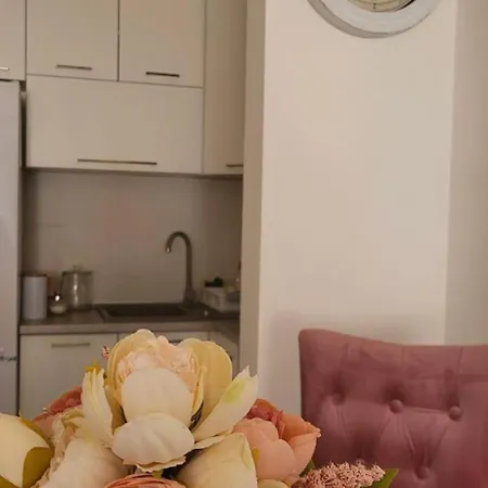 Maja 2 アパート ルマ